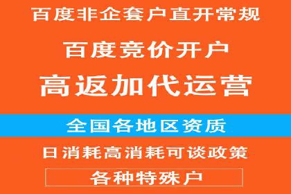 某电商平台信息流广告运营实战案例